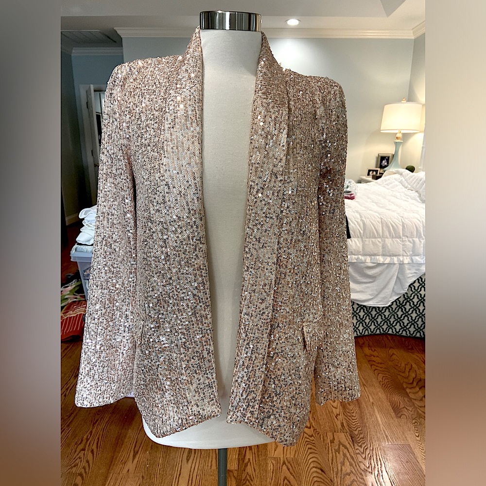 Greylin Sequin Blazer